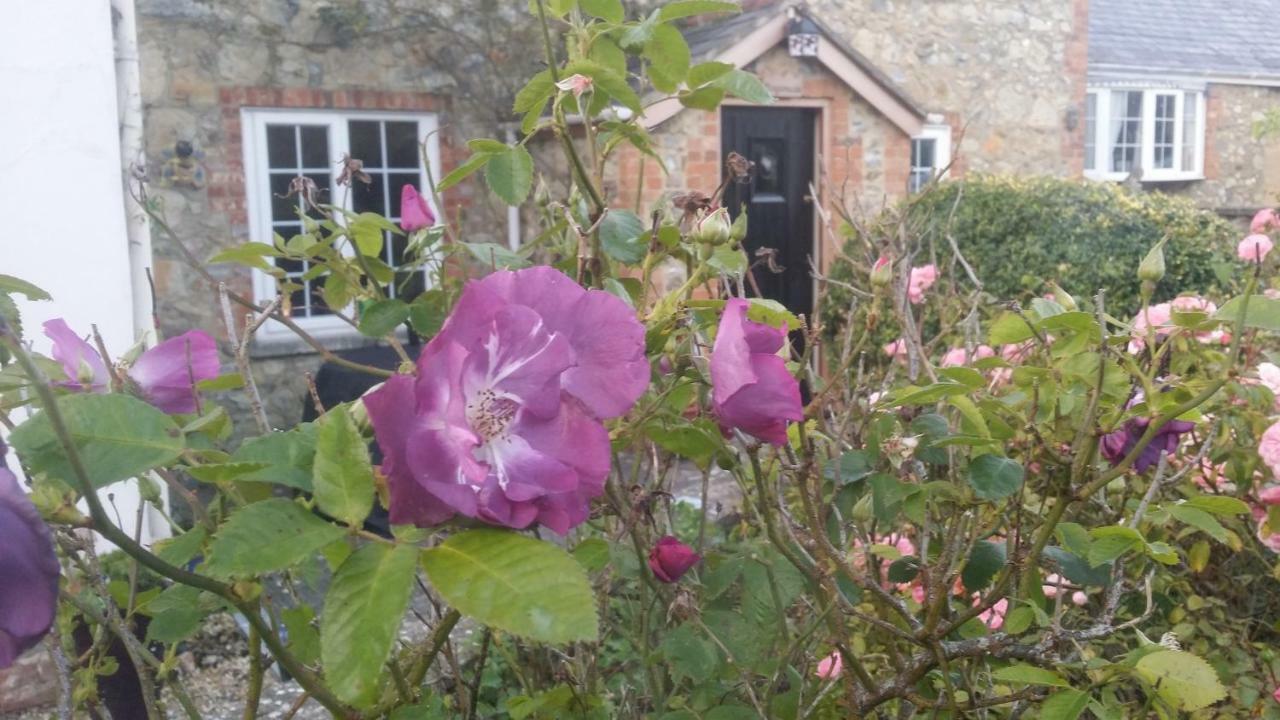 Kingsmede Bed & Breakfast Ventnor Zewnętrze zdjęcie